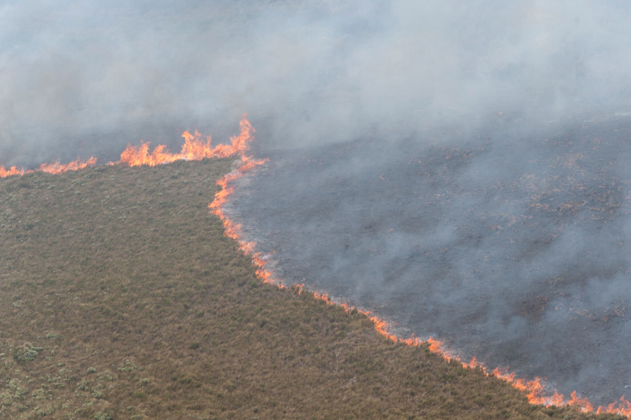 Firefighters deployed to help fight large wild fire in the Chathams icon