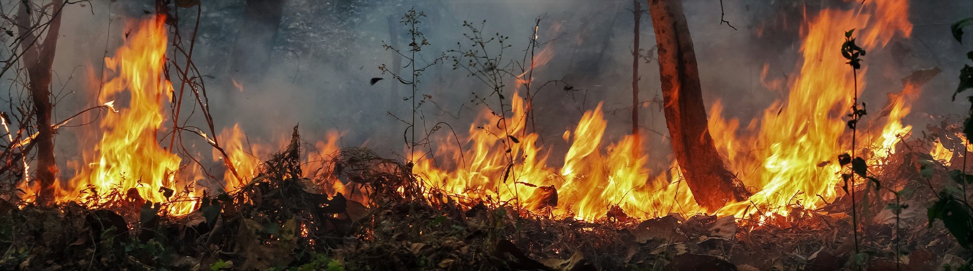 Caution urged with controlled burns icon