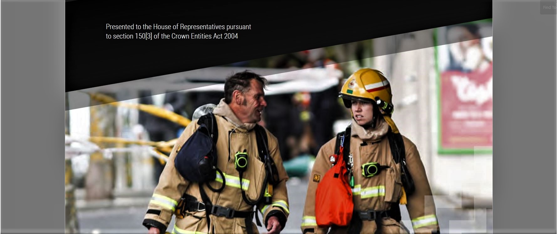 Annual Report 2019/20 – Fire and Emergency New Zealand icon