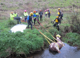 Growing spotlight on large animal rescue icon