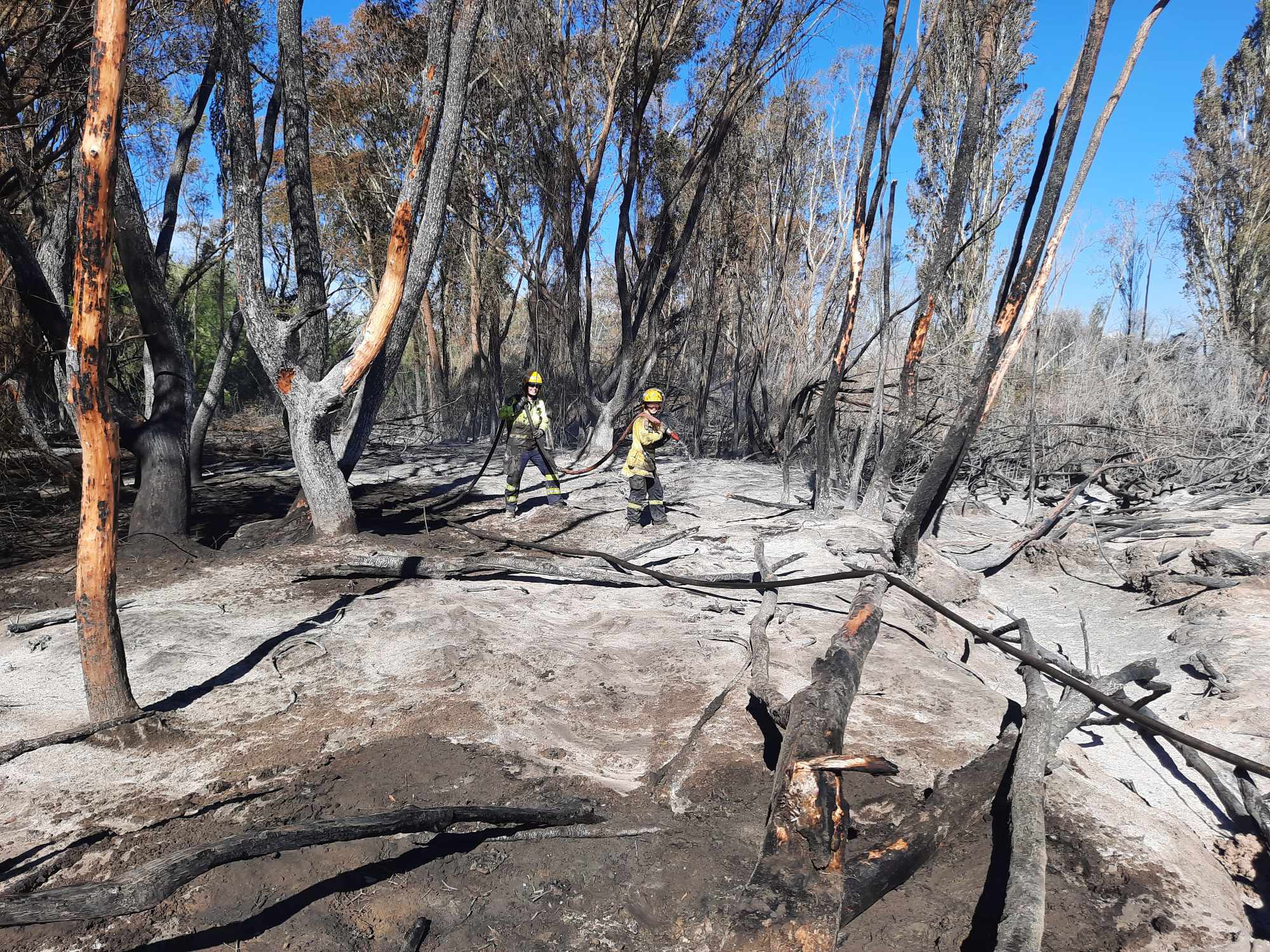 Canterbury Fires Update #9 icon