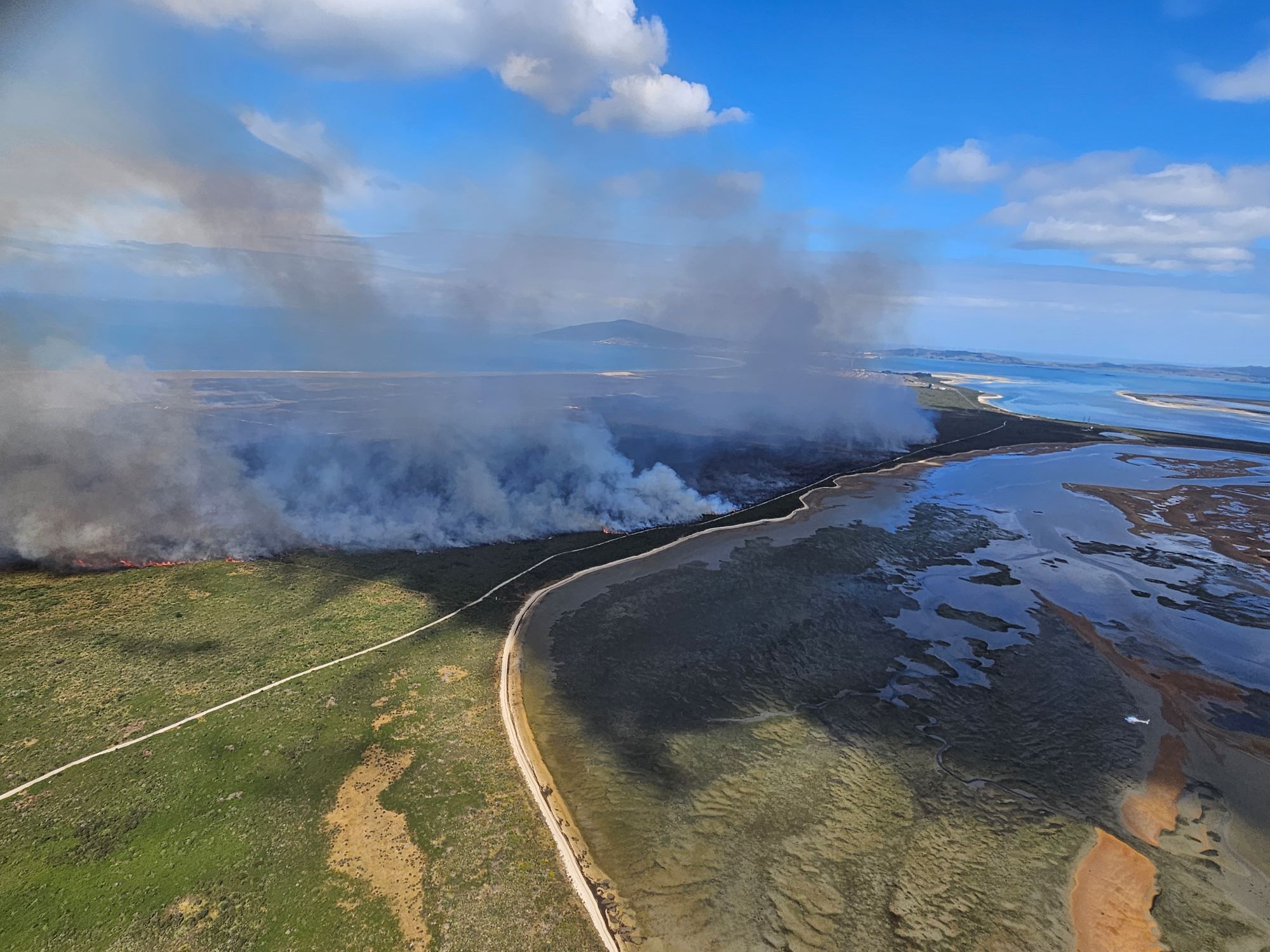 Tiwai Peninsula vegetation fire update #2 icon