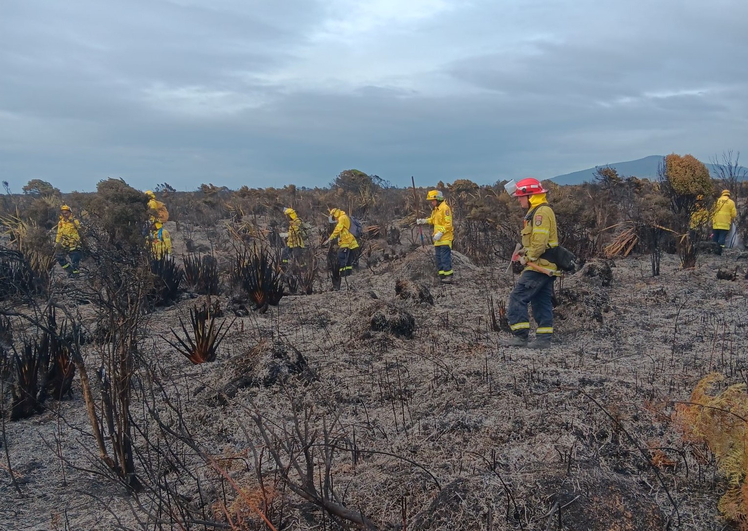 Tiwai Peninsula vegetation fire update #3 icon